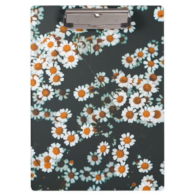 Carpeta De Pinza Daisy Daisies Floral (Anverso)