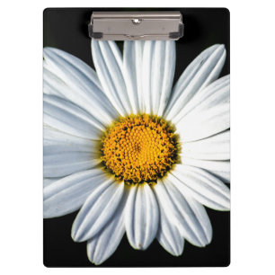 Carpeta De Pinza Daisy Mae