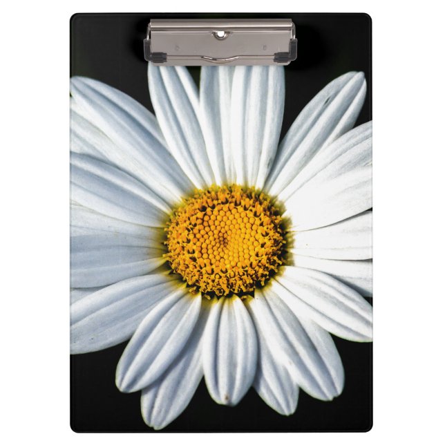 Carpeta De Pinza Daisy Mae (Anverso)