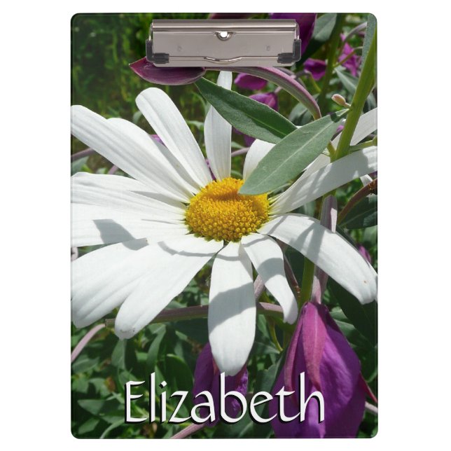 Carpeta De Pinza Daisy y Fireweed Wildflower (Anverso)