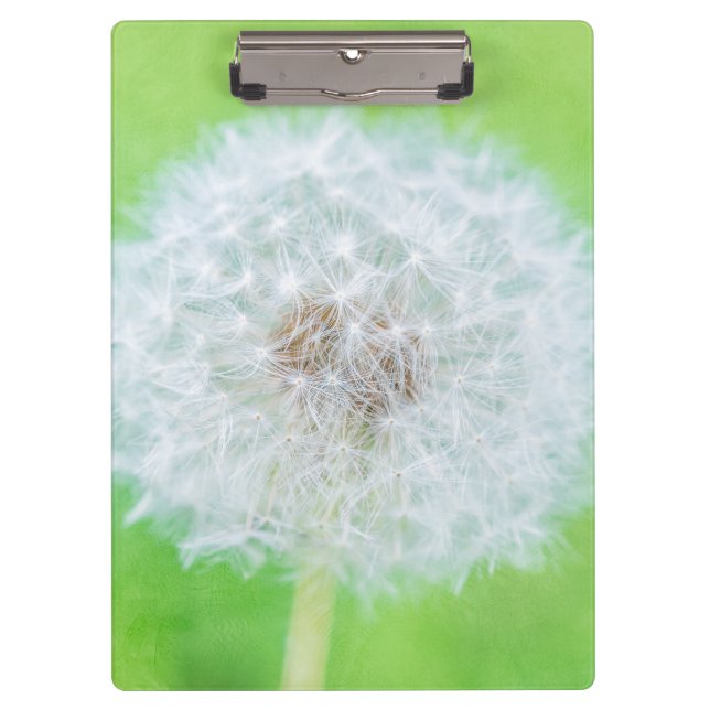 Carpeta De Pinza Dandelion - Acabo De Despertar La Belleza (Anverso)