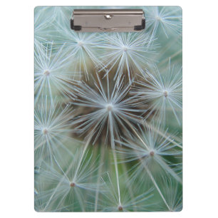 Carpeta De Pinza Dandelion blanco