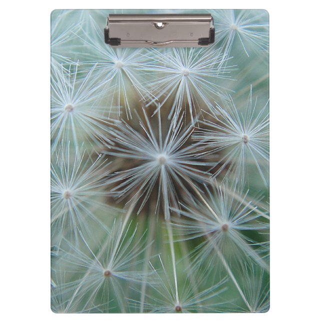 Carpeta De Pinza Dandelion blanco (Anverso)