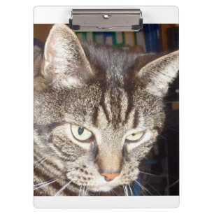 Carpeta De Pinza Dave está vigilando los Clipboards