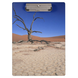 Carpeta De Pinza Dead Vlei, Sossusvlei, Parque Nacional Namib-Naukl