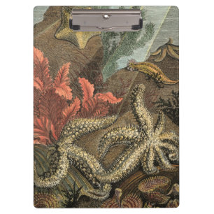 Carpeta De Pinza Debajo del mar