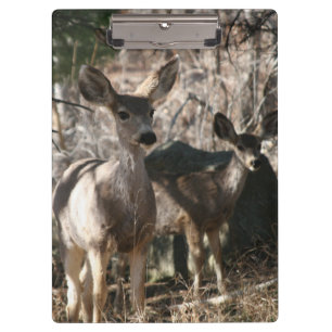 Carpeta De Pinza Deer saludando