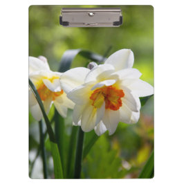 Carpeta De Pinza Delicada primavera de daffodils tiernos