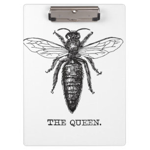 Carpeta De Pinza Dibujo clásico del Ilustracion Queen Bee