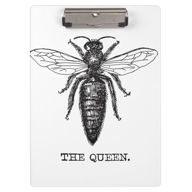 Carpeta De Pinza Dibujo clásico del Ilustracion Queen Bee (Anverso)