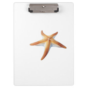 Carpeta De Pinza Dibujo en acuarela de estrella de mar