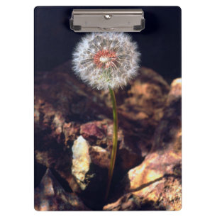 Carpeta De Pinza Diente de león