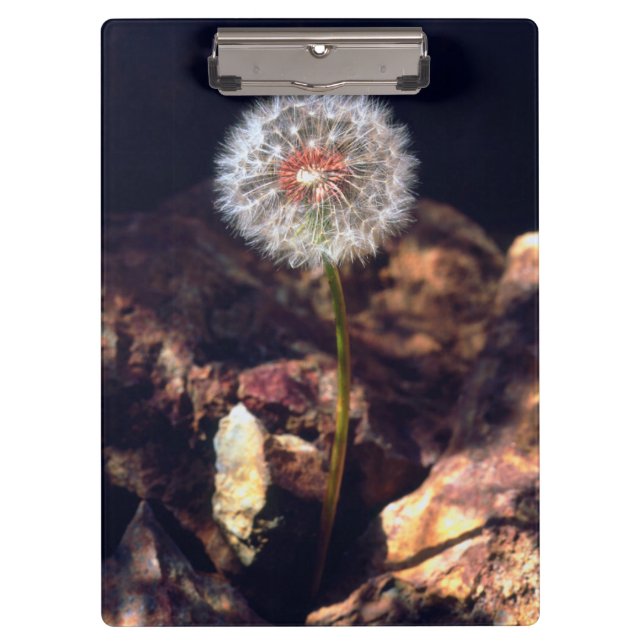 Carpeta De Pinza Diente de león (Anverso)