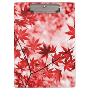 Carpeta De Pinza Diseño panorámico de hojas de arce-21355