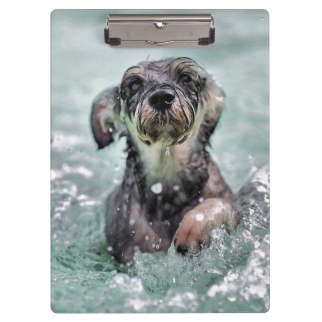 Carpeta De Pinza Doggy Paddle Cute Perro Natación (Anverso)