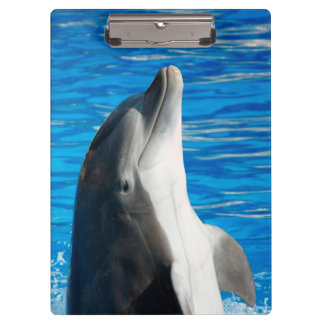 Carpeta De Pinza Dolphin Bottlenose
