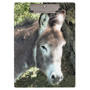CARPETA DE PINZA DONKEY