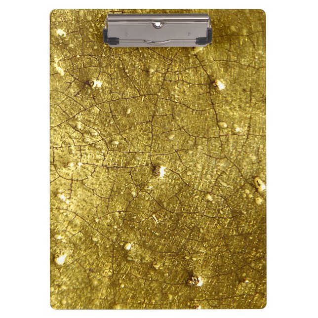 CARPETA DE PINZA DORADO (Anverso)
