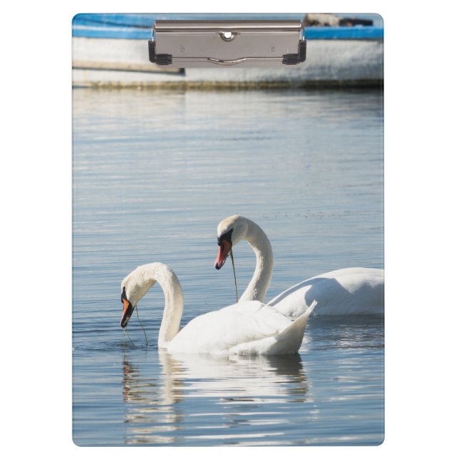 Carpeta De Pinza Dos cisnes (Anverso)