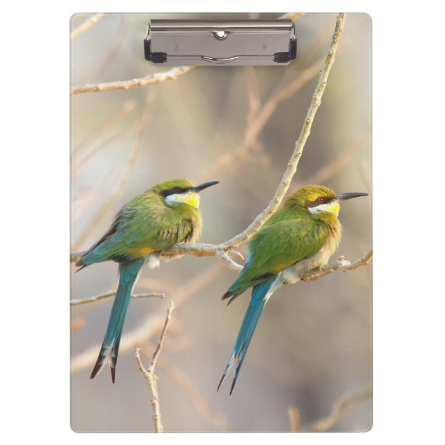 Carpeta De Pinza Dos comedores de abejas (Anverso)