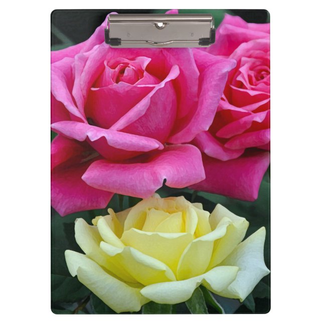 Carpeta De Pinza Dos rosas rosas rosas (Anverso)
