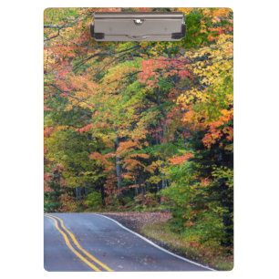 Carpeta De Pinza Dosel de otoño de color a lo largo de la autopista