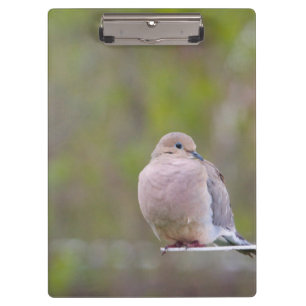 Carpeta De Pinza Dove de duelo