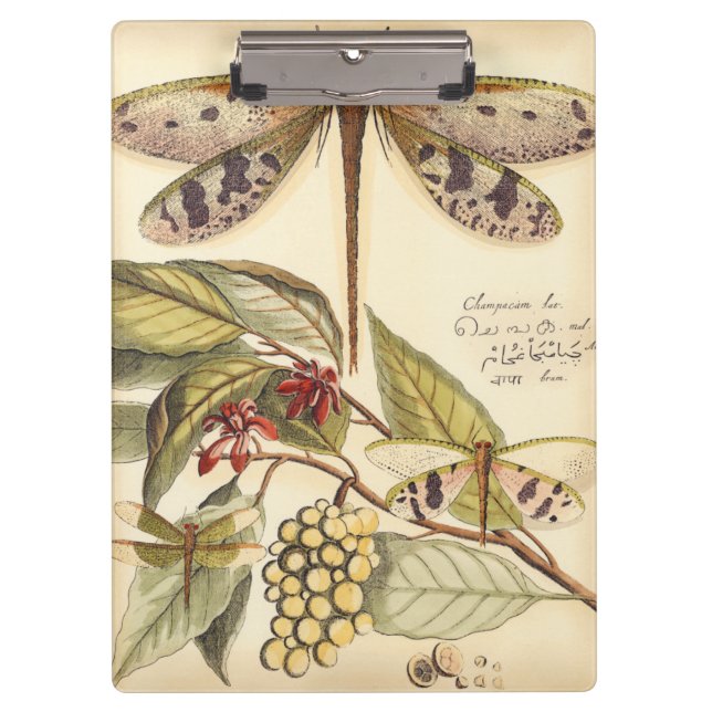 Carpeta De Pinza Dragonflies con hojas y fruta (Anverso)