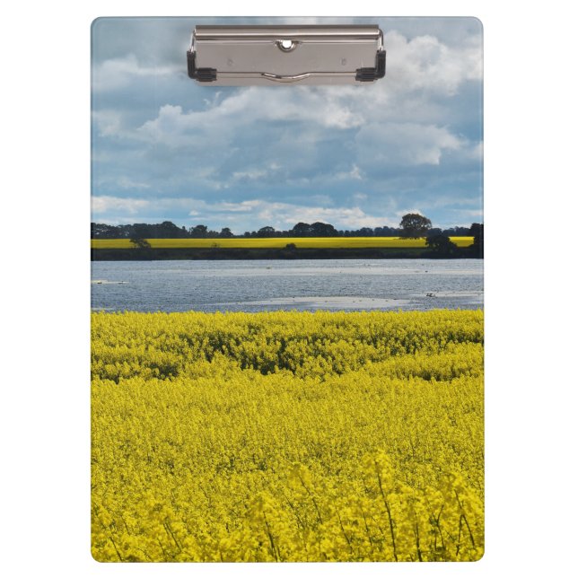 Carpeta De Pinza Dramática belleza de Streatham (Anverso)