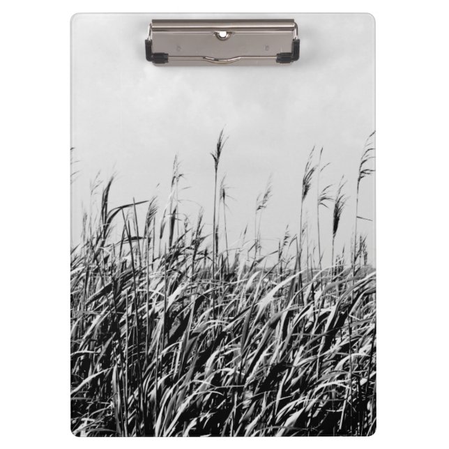 Carpeta De Pinza Dune Triptych III (Anverso)