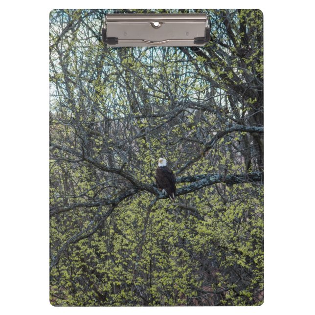 Carpeta De Pinza Eagle Awareness (Anverso)