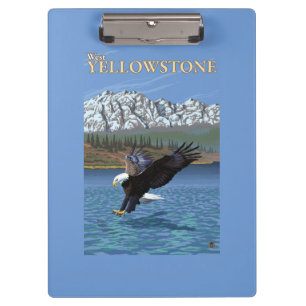 Carpeta De Pinza Eagle calvo que se zambulle - Yellowstone del