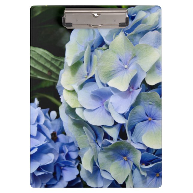 Carpeta De Pinza EE.UU., Alabama, Theodore Near Mobile 2 (Anverso)