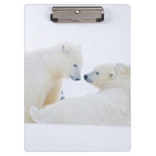 Carpeta De Pinza EE. UU., Alaska, llanura costera del Ártico 1002