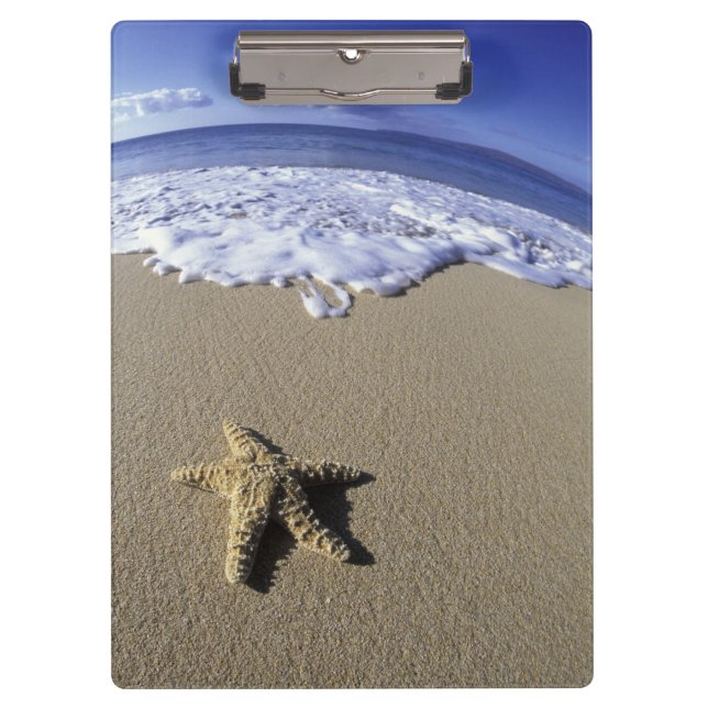 Carpeta De Pinza EE.UU., Hawaii, Maui, Makena Beach, Starfish y (Anverso)
