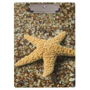 Carpeta De Pinza EE. UU., HI, Kauai, Glass Beach con estrella de ma