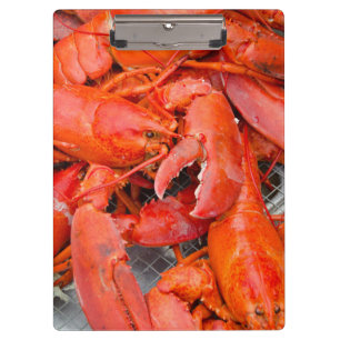 Carpeta De Pinza EE. UU., Massachusetts, Martha's Vineyard