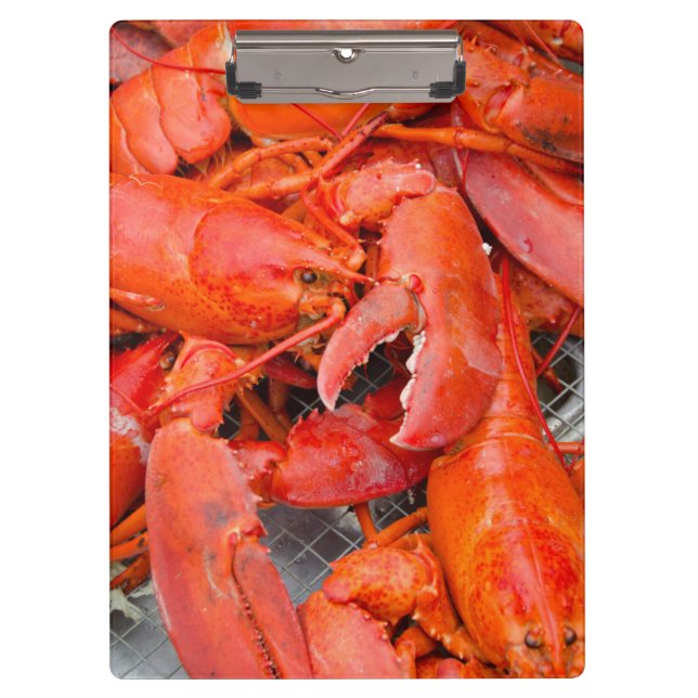 Carpeta De Pinza EE. UU., Massachusetts, Martha's Vineyard (Anverso)