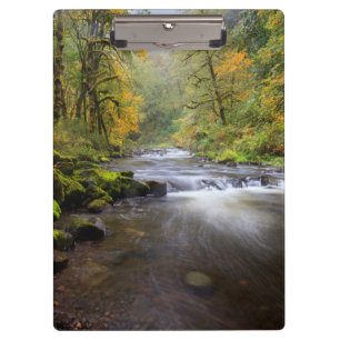 Carpeta De Pinza EE. UU., Oregón, desfiladero del río Columbia, Tan