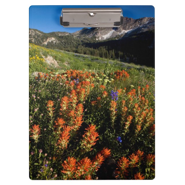 Carpeta De Pinza EE. UU., Utah, Bosque Nacional Uinta-Wasatch-Cache (Anverso)