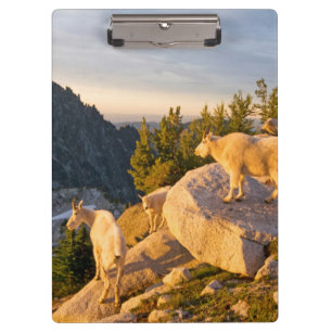 Carpeta De Pinza EE. UU., Washington, Cordillera de las Cascadas 4