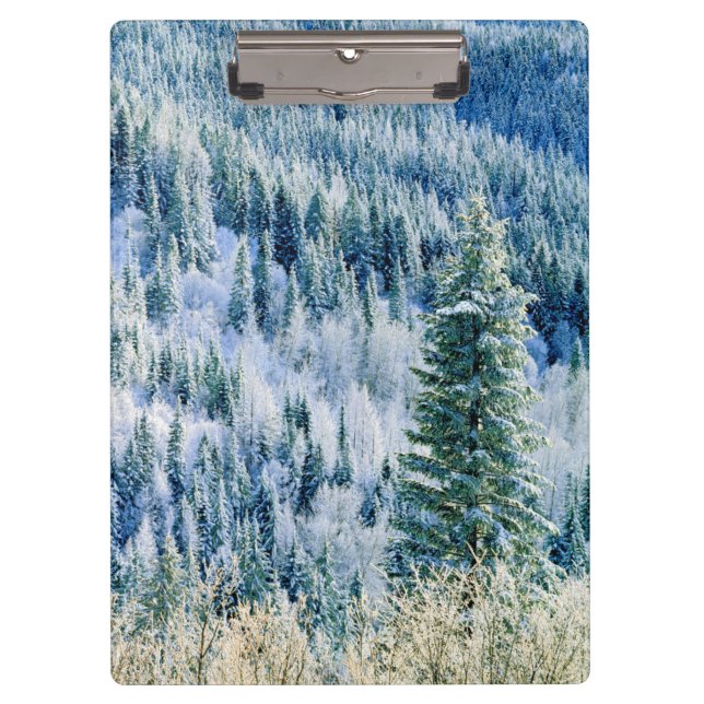 Carpeta De Pinza EE. UU., Washington, Parque Estatal Mt. Spokane, A (Anverso)
