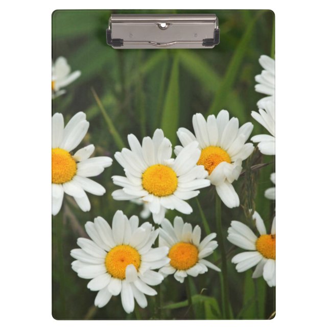 Carpeta De Pinza EE.UU., Washington, Seattle, Puget Sound 3 (Anverso)