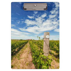 Carpeta De Pinza EE. UU., Washington, Walla Walla. Cabernet Sauvign