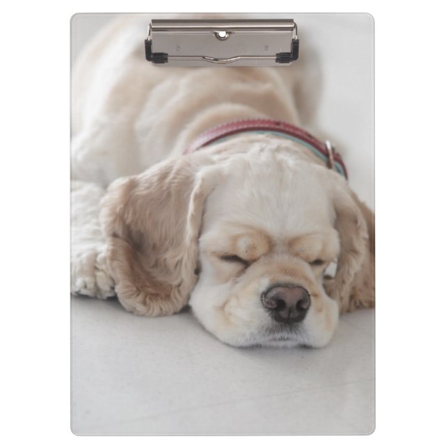 Carpeta De Pinza El dormir del perro de cocker spaniel (Anverso)