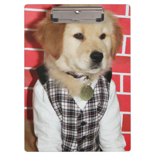 Carpeta De Pinza El golden retriever vistió para arriba el perrito