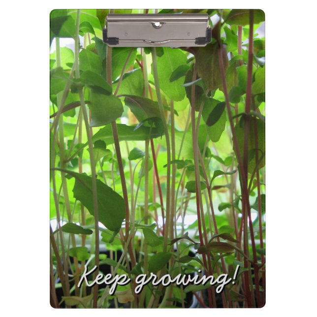 Carpeta De Pinza El jardinero guarda el crecer de las plantas (Anverso)