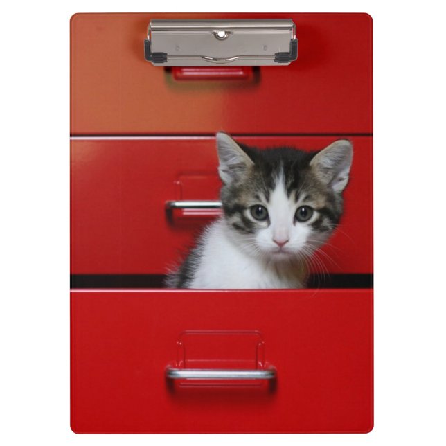 Carpeta De Pinza El mirar a escondidas del gatito (Anverso)