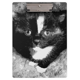 Carpeta De Pinza El observador silencioso