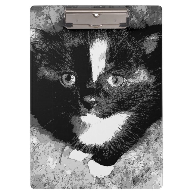 Carpeta De Pinza El observador silencioso (Anverso)